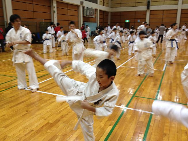 白帯のうちはまず高く蹴ることが重要です！一つ目クリアですね☆